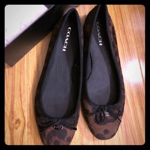 COACH size 8M calf hair animal print ballet flats